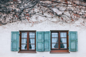 Window Shutter Styles